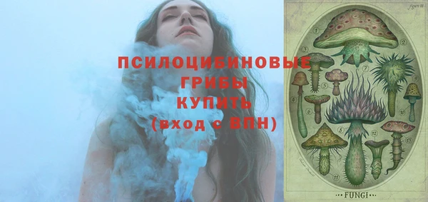 СК Касимов
