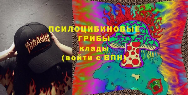 spice Карталы