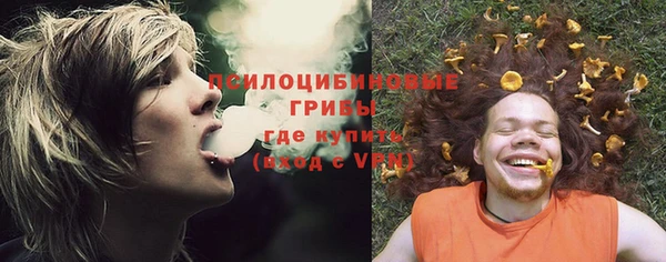 винт Карпинск