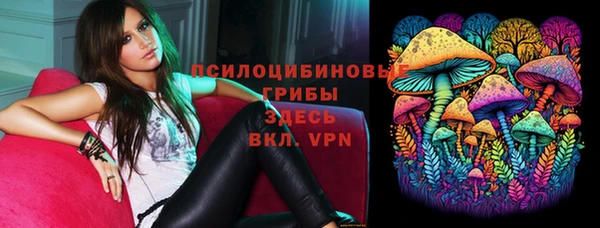 СК Касимов