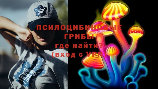 винт Карпинск