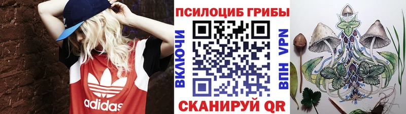 купить  сайты  Новое Девяткино  Псилоцибиновые грибы MAGIC MUSHROOMS 